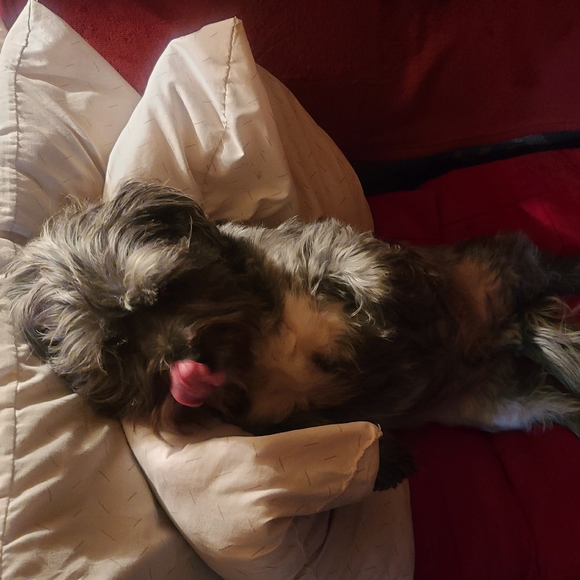 Pete Ruffler - Picture 2 of 5